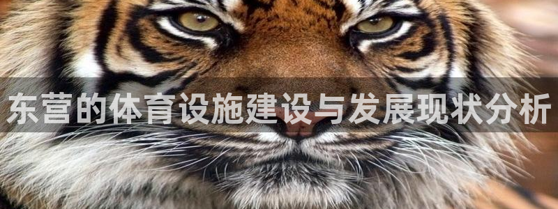 意昂体育4平台假的吗是真的吗：东营的体育设施建设与发