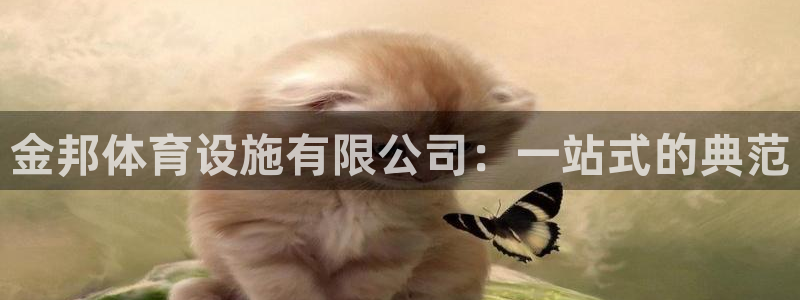 意昂体育4平台是正规平台吗：金邦体育设施有限公司：一