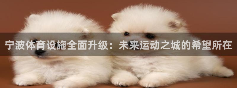 意昂体育4招商电话号码是多少：宁波体育设施全面升级：未来运动